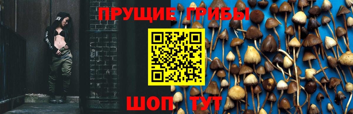 Псилоцибиновые грибы мицелий  Галлюциногенные грибы Psilocybine cubensis  Вход с VPN  Магнитогорск 