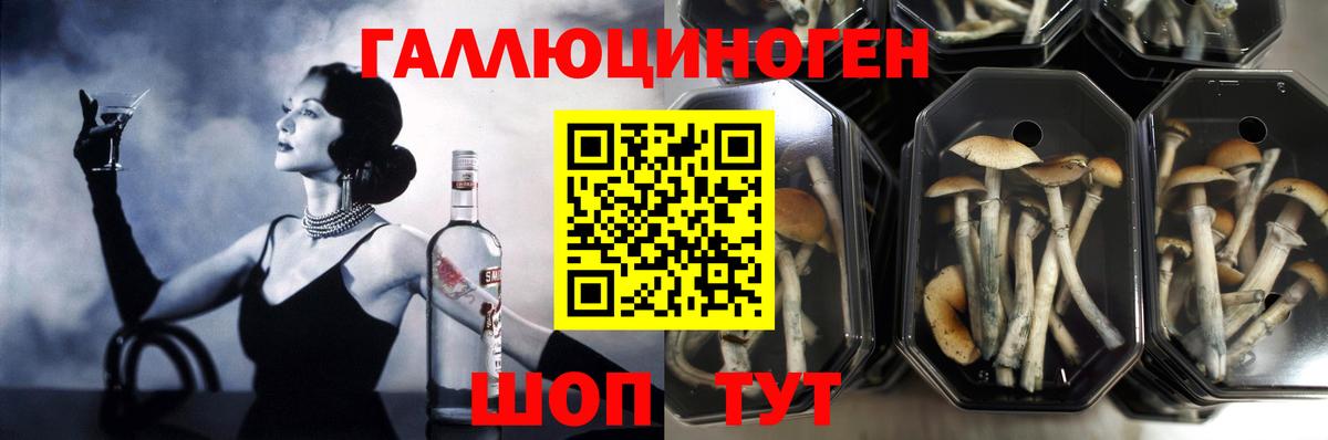 Галлюциногенные грибы мицелий Магнитогорск